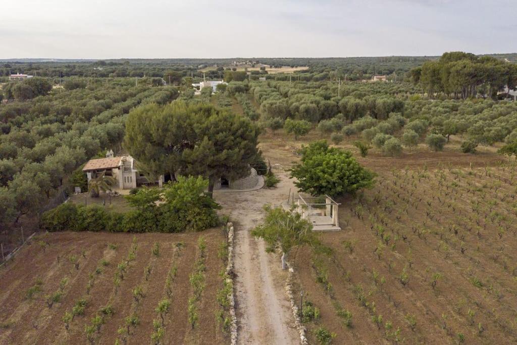 Villa Principe Degli Olivi Maruggio Esterno foto